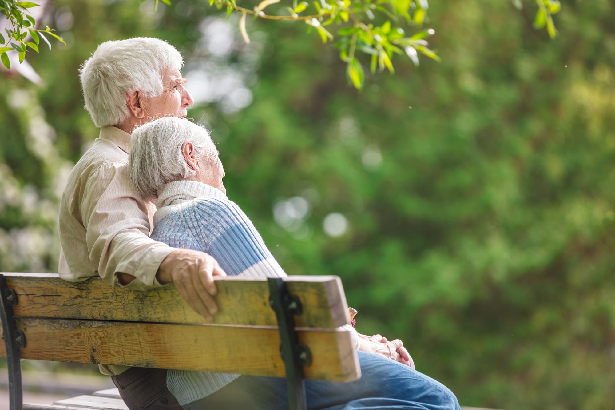 Couple âgé assis sur un banc dans un parc, profitant ensemble d’un moment paisible en pleine nature.